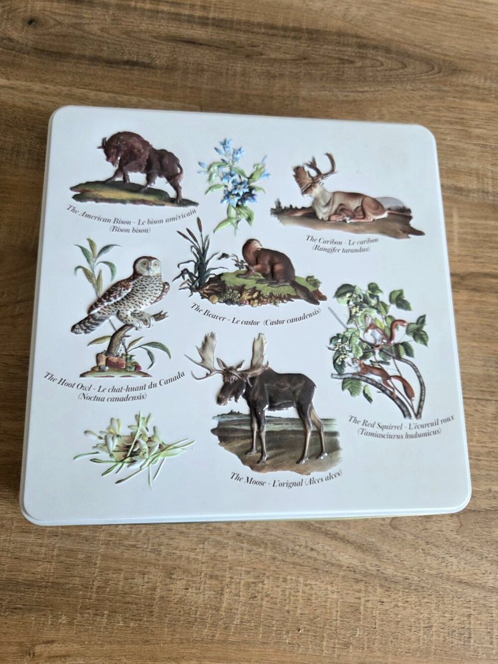 Vintage Hudson's Bay Company Tin Box with Embossed Birds Animals Flowers Canada